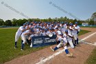 Baseball vs Babson  Wheaton College Baseball players celebrate their victory over Babson to win the NEWMAC Championship for the third year in a row. - (Photo by Keith Nordstrom) : Wheaton, baseball, NEWMAC